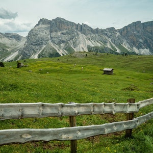 Alpine Meadow in Dolomites - Landscape Photography Print