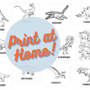 Dinosaur coloring Sheets with Names, 11 printable pages, large graphics perfect for Kids