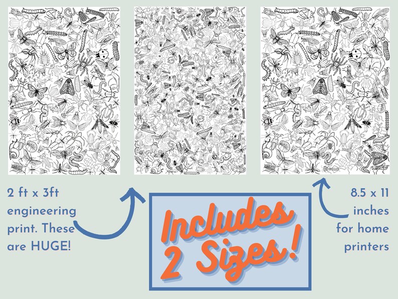 May include: Two black and white printable insect illustrations. The image shows two different sizes of the same illustration. The text "Includes 2 Sizes!" is in the center of the image. The text "2 ft x 3ft engineering print. These are HUGE!" is below the left illustration. The text "8.5 x 11 inches for home printers" is below the right illustration.