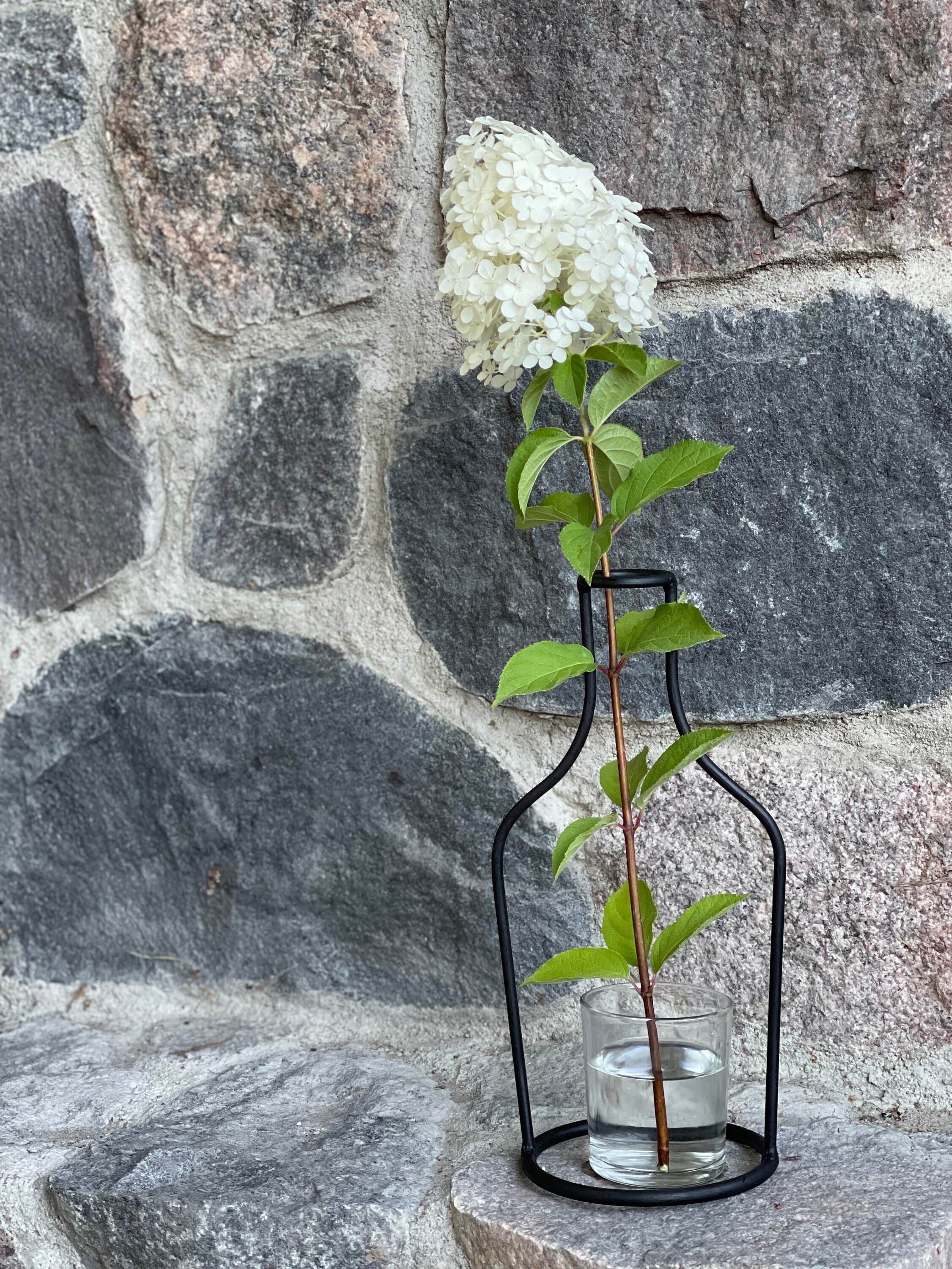 Yardenfun Modern Minimalist Hydroponic Vase Iron Art