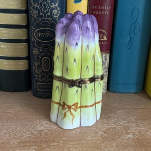 Limoges Asparagus Box | Hand-Painted French Porcelain Collectible  | Large Limoges Box