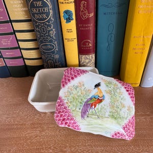 Peut inclure: Un plat en céramique blanc ouvert avec un couvercle, orné d'une illustration d'oiseau coloré. Le plat a une bordure rose festonnée et repose sur une surface en bois, avec des livres anciens en arrière-plan.