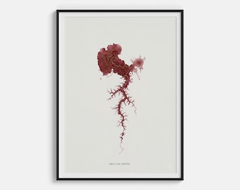 Stampa sul vino Delta del Rodano - Poster con mappa di fiumi e valli con gocce di vino - Decorazione murale con geografia dei vigneti francesi, regalo da sommelier