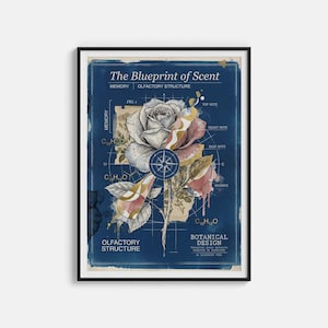Peut inclure: Une affiche encadrée intitulée "The Blueprint of Scent" avec un design botanique. L'œuvre présente une illustration détaillée d'une rose, d'une boussole et de schémas scientifiques, le tout sur fond bleu foncé. L'impression comprend du texte sur la mémoire et la structure olfactive.