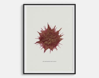 Poster L'Eclaboussure Montagneuse - Stampa di paesaggi montuosi con spruzzi di vino - Decorazione murale con azione liquida dinamica per sala da pranzo