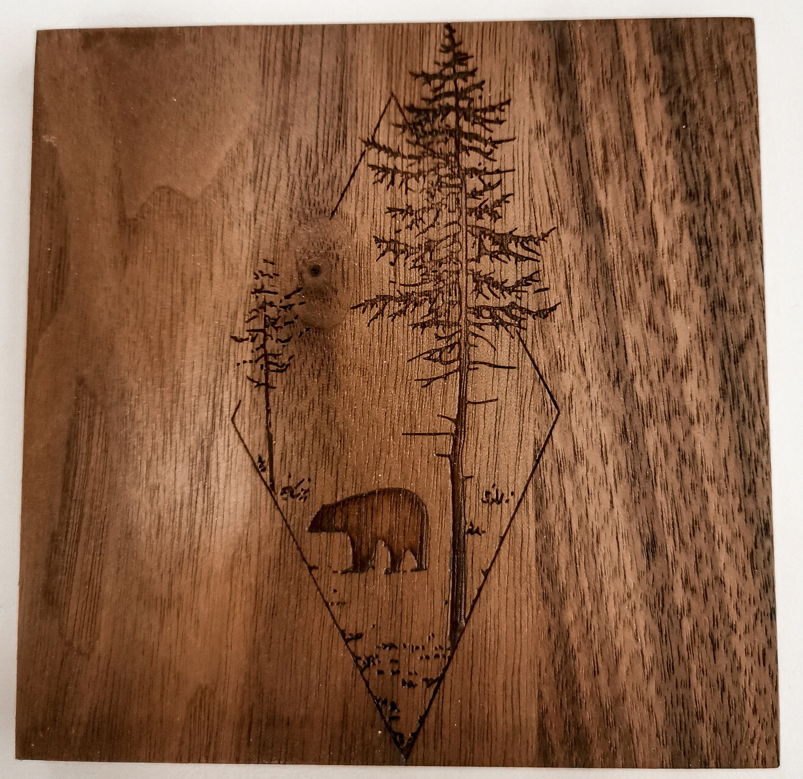 News - Crafting Nature's Canvas: Elevating Wood with Laser Marking