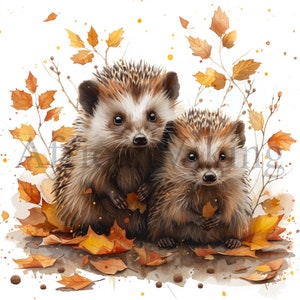 Ouriços em folhas de outono clipart | 10 JPGs de alta qualidade | Download digital | Pintura em Aquarela | Arte do berçário | Artesanato de papel digital