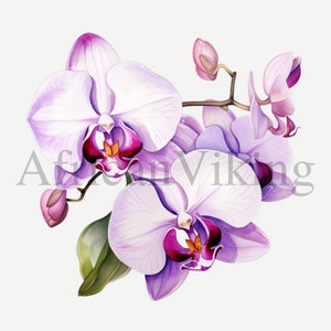 Orquídea Clipart / 10 JPG de alta calidad / Descarga digital / Fabricación de tarjetas / Diario / Artesanía de papel digital / Arte botánico / Scrapbooking