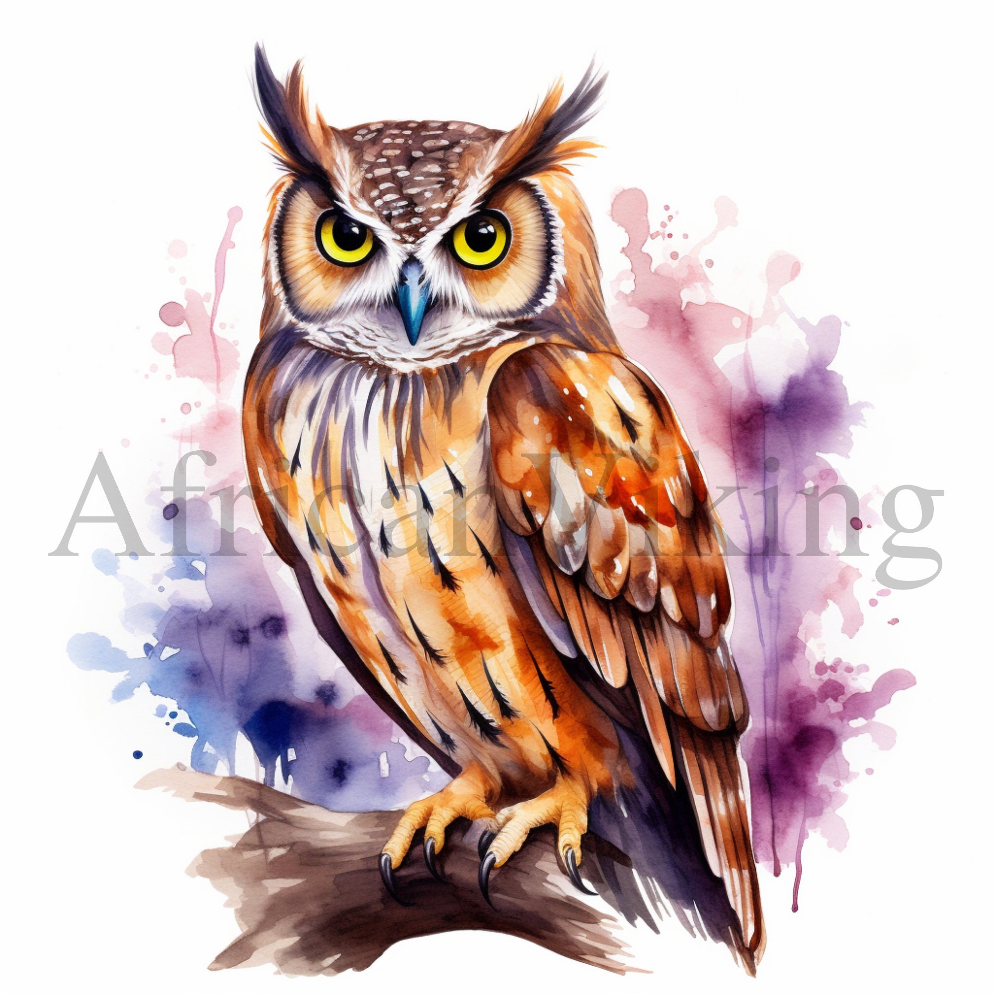 Owl Clipart | 10 High Quality JPGs | Digital download | Card Making | Owl Print | Digital Paper Craf