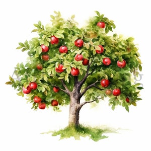 Apple Trees Clipart / 10 JPG de alta calidad / Descarga digital / Fabricación de tarjetas / Diario / Arte botánico / Artesanía de papel digital / Manzano