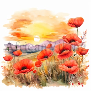 Clipart de campos de papoula do pôr do sol | 10 JPGs de alta qualidade | Download digital | Fabricação de cartões | Mídia mista | Artesanato de papel digital | Arte em aquarela