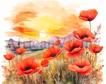 Zonsondergang klaproos veld aquarel clipart | Floral JPG's (digitale download)