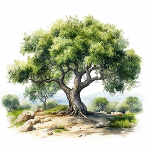 ClipArt di Bush mediterraneo / 10 JPG di alta qualità / Download digitale / Arte dell'acquerello / Creazione di cartoline / Supporti misti / Mestiere con la carta digitale