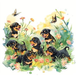 Rottweiler Puppy Clipart | 10 High Quality JPGs | Digital Download | Card Making | Digital Paper Craft | Rottweiler | clip art | Mixed Media