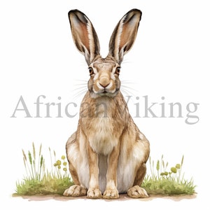 Hare Clipart | 10 High Quality JPGs | Digital Download | Card Making | Animal Clipart | Digital Paper Craft | Mixed Media | Scrapbooking