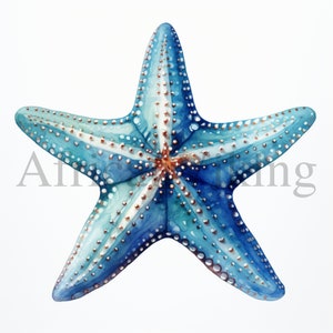 Starfish Clipart | 10 High Quality JPGs | Digital download | Clip Art | Starfish Print | Digital Paper Craft | Card Making | Scrapbooking