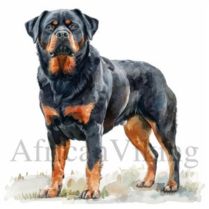 Rottweiler Clipart | 10 High Quality JPGs | Digital Download | Card Making | Wall art | Digital Paper Craft | Rottweiler | Collage images