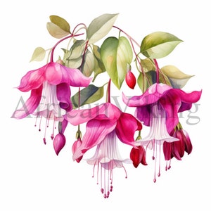 Clipart fúcsia | 10 JPGs de alta qualidade | Download Digital | Fabricação de cartões | Registro no diário | Artesanato de papel digital | Álbum de recortes | Arte Botânica