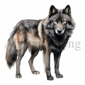 Clipart de lobo preto | 10 JPGs de alta qualidade | Download digital | Artesanato de papel digital | Fabricação de cartões | Clipart | Impressão de lobo | Gráficos para impressão