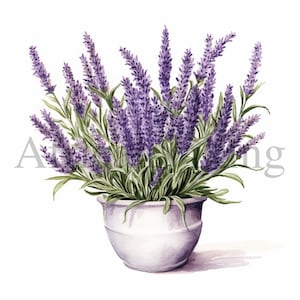 Imágenes prediseñadas de plantas de interior / 10 archivos JPG de alta calidad / Descarga digital / Uso comercial / Imágenes prediseñadas / Imágenes prediseñadas de vegetación / Planta linda / Planta de acuarela