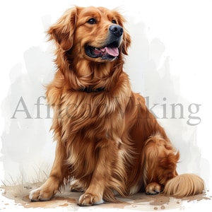 Clipart de Golden Retriever | 10 JPGs de alta qualidade | Download digital | Arte do berçário | Fabricação de cartões | Clipart de animal fofo | Artesanato de papel digital