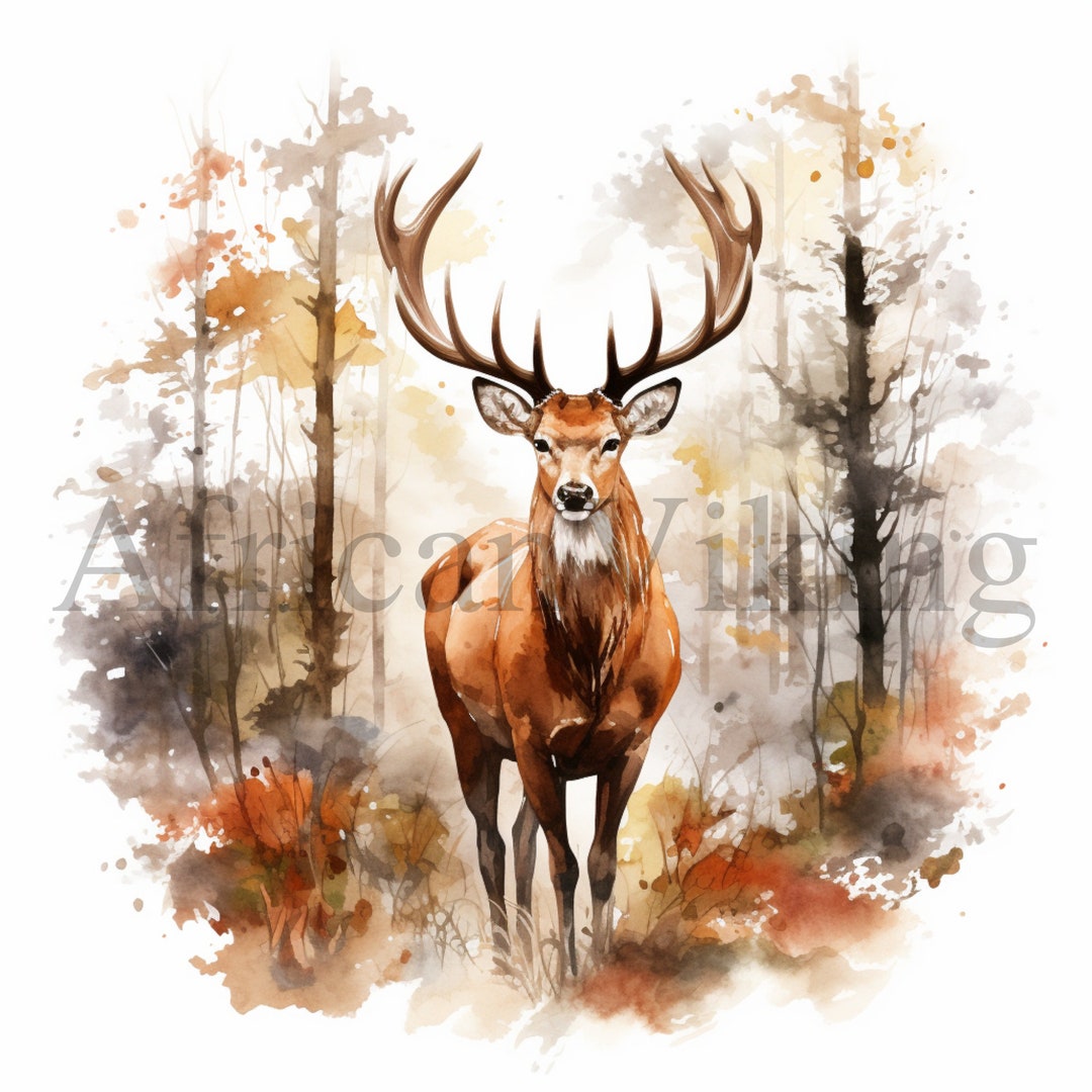 Deer in Forest Clipart | Watercolor Animal Illustration (digital ...