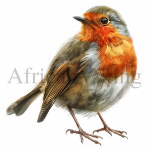 Lente Robin Clipart | 10 JPG's van hoge kwaliteit | Kinderkamerkunst | Direct digitaal downloaden | Kaarten maken | Robin Clipart | Digitale papierambachten