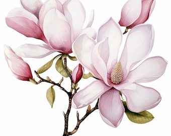 Magnolia Branches Clipart | 10 High Quality JPGs | Digital Download | Journaling | Digital Paper Craft | Card Making | Botanical Art