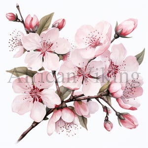 Blooming Sakura Branch Clipart | 10 High Quality JPGs | Digital Download | Cherry Blossom Illustrations | Floral Art | Scrapbook | Printable