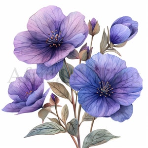 Clipart Violets | 10 wysokiej jakości JPG | Pobieranie cyfrowe | Księgi pamiątkowe | Clipart botaniczny | Planery cyfrowe | Dzienniki śmieciowe