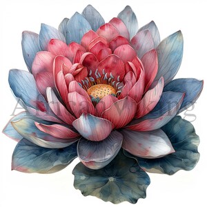 Clipart fiore di loto, 10 JPG di alta qualità, download digitale, creazione di carte, arte botanica, creazione con carta digitale, scrapbooking, clip art