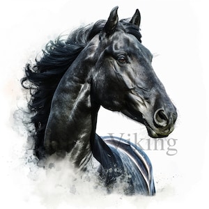 Schwarzes Pferd Clipart | 10 hochwertige JPGs | Digitaler Download | Schwarzes Pferd Clipart | Aquarell Clipart | Pferd Clipart | Junk Journals