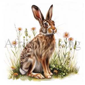 Clipart lepre / 10 JPG di alta qualità / Download digitale / Supporti misti / Scrapbooking / Creazione di carte / Clipart animali / Mestiere di carta digitale