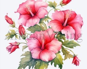 Hibiscus Floral Clipart | Botanical Art JPGs (Digital Download)