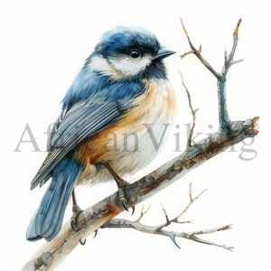 Clipart mésange à l'aquarelle | 10 fichiers JPG de haute qualité | Téléchargement numérique | Art pour chambre d'enfant | Fabrication de cartes | Clipart oiseau mignon | Créations numériques en papier