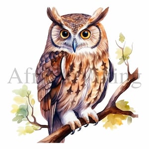Aquarell Eule Clipart | 10 hochwertige JPGs | Digitaler Download | Kartenherstellung | ClipArt | Eulendruck | Digitales Papierhandwerk | Kindergarten-Kunst