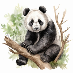 Clipart de panda | 10 JPGs de alta qualidade | Download digital | Álbum de recortes | Fabricação de cartões | Impressão Panda | Gráficos para impressão, artesanato em papel digital