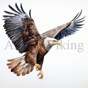 Eagle Clipart | 10 High Quality JPGs | Digital download | Nursery Art | Card Making | Eagle Print | Paper Craft | Watercolour Painting
