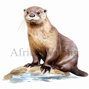 Clipart loutre | 10 fichiers JPG de haute qualité | Aquarelle | Art pour chambre d'enfant | Fabrication de cartes | Clipart | Imprimé loutre | Créations numériques en papier