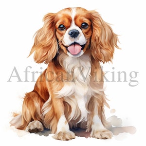 Imágenes Prediseñadas de Cavalier King Charles Spaniel, 10 JPG de alta calidad, Descarga digital, Imágenes prediseñadas de animales bonitos, Imágenes prediseñadas, Fabricación de tarjetas, Arte infantil