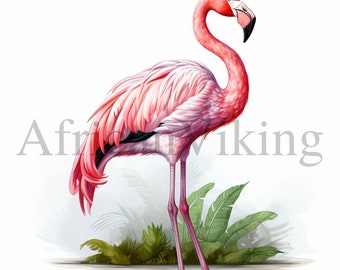 Watercolor Flamingo Clipart | Tropical Nursery Art (Digital Download)