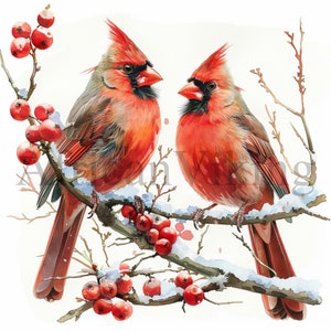 Watercolor Winter Red Cardinals Clipart | 10 High Quality JPGs | Digital Download | Card Making | Birds Clipart | Digital Paper Craft