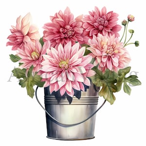 Dalias Bucket Clipart / 10 JPG de alta calidad / Descarga digital / Dalias de acuarela / Fabricación de tarjetas / Dalias Clip Art, Arte de papel digital