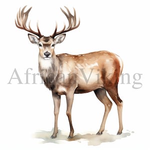 Clipart di renna / 10 JPG di alta qualità / Download digitale / Clipart invernale / Renna carina / Clipart / Creazione di carte / Clipart di cervi, renna
