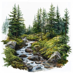 Forest Creek ClipArt / 10 JPG di alta qualità / Download digitale istantaneo / Arte dell'acquerello / Creazione di cartoline / Supporti misti / Mestieri con la carta digitale