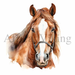 Braunes Pferd Clipart | 10 hochwertige JPGs | Digitaler Download | Kartengestaltung | Kinderzimmer Kunst | Pferdedruck | Digitales Papiermodell | Mischtechnik