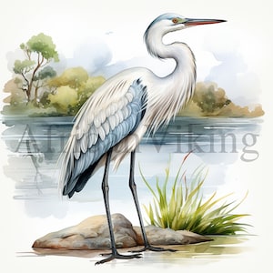 Clipart Airone / 10 JPG di alta qualità / Download digitale / Arte dell'asilo nido / Creazione di cartoline / Clipart animali / Mestiere di carta digitale / Supporti misti