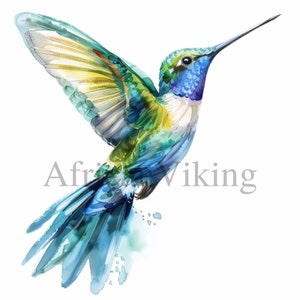 Kolibri Clipart | 10 hochwertige JPGs | Kinderzimmer Kunst | Sofortiger digitaler Download | Kartengestaltung | Tier Clipart | Papiermodelle | Clip Art