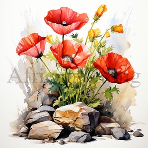 Blumenstrauß Mohn Clipart | 10 hochwertige JPGs | Sofortiger digitaler Download | Kartengestaltung | Journaling | Digitales Papiermodell, Botanische Kunst