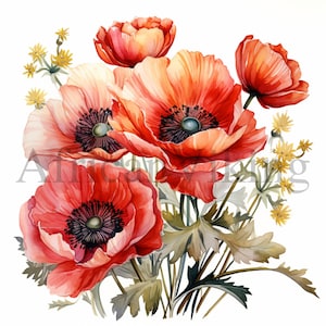 Blumenstrauß Mohn Clipart | 10 hochwertige JPGs | Digitaler Download | Botanische Kunst | Kartengestaltung | Journaling | Digitales Papiermodell